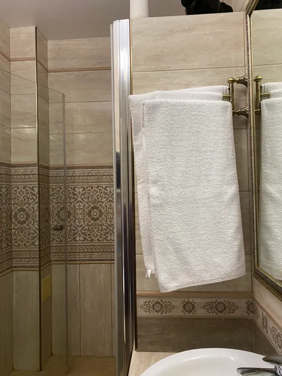 Большая квартира с террасой