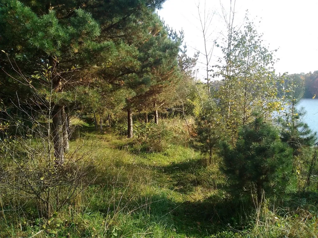 Коттедж Уютный домик на берегу водохранилища — Чиверёво