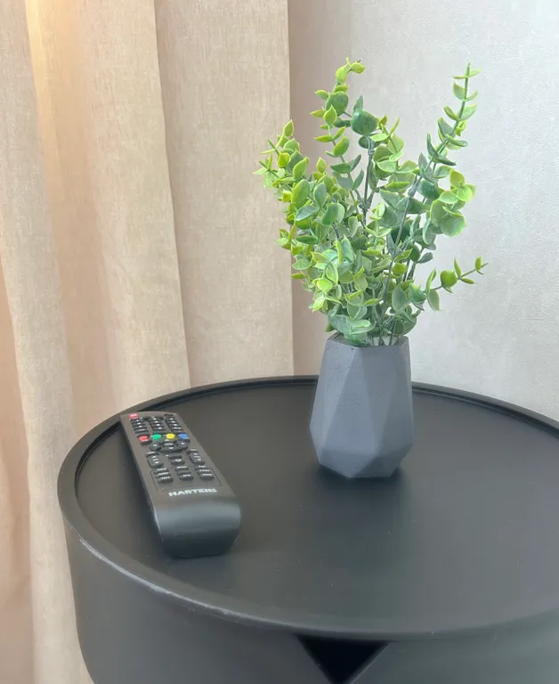 Квартира с живописным видом