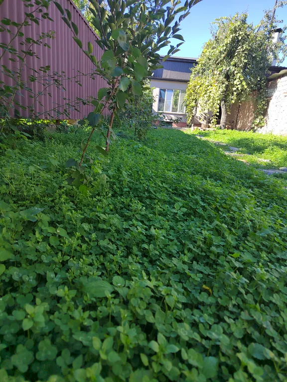 Уютный дом с садом в центре города