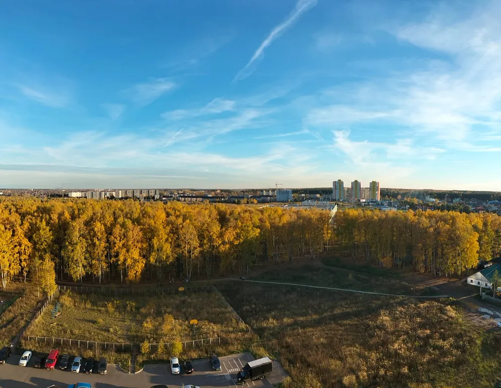 Уютная квартира с видом на берёзовую рощу