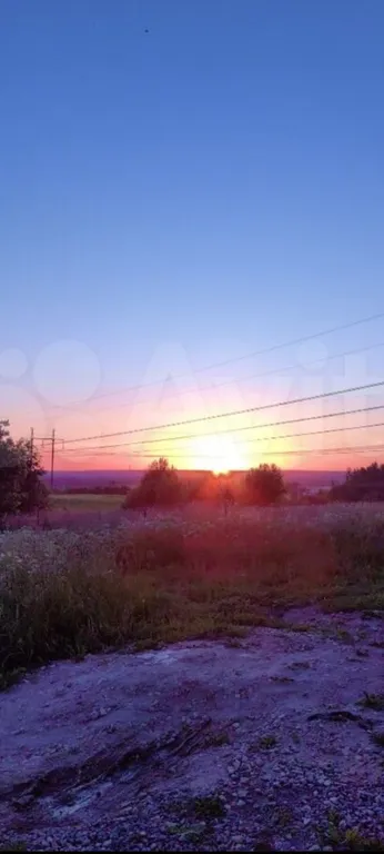Коттедж Домик около Красного села с видом на поле и лошадок — Санкт-Петербург