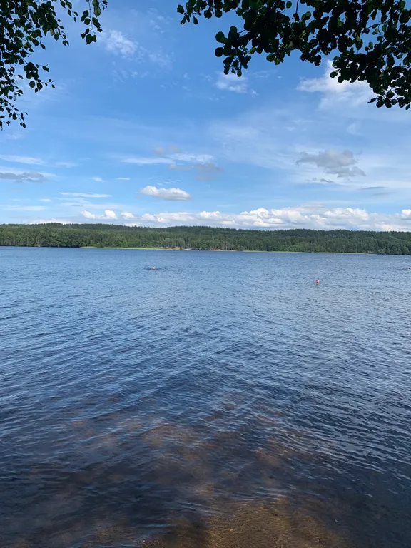 Дом мечты Дыхание природы