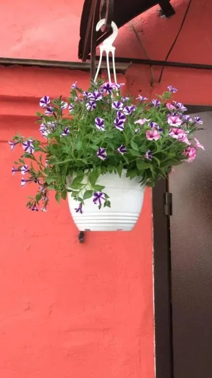 Baltic Boutique Hotel