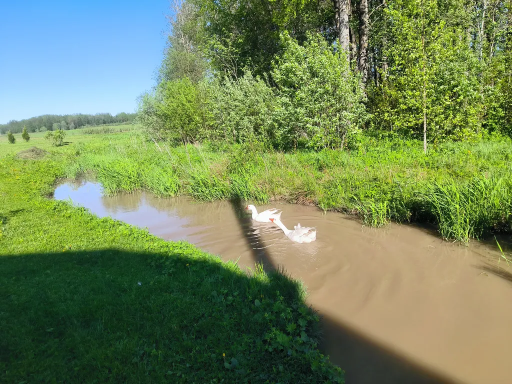 Купольный дом на домашней ферме