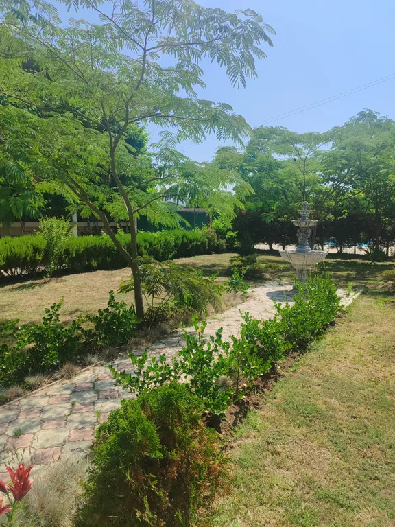 Квартира Комната — Витино