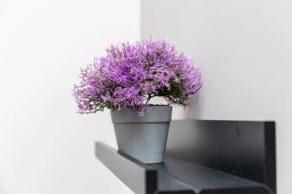 Апартаменты делюкс для семьи в клубном доме Vivaldi