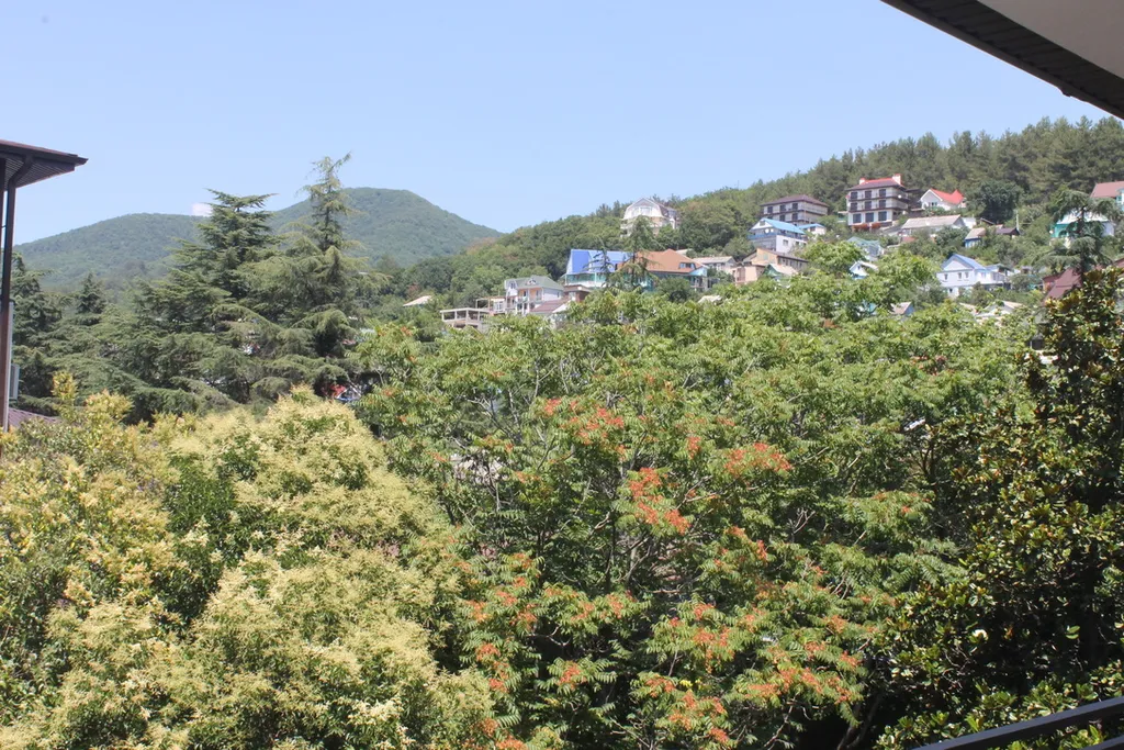 Квартира Комната — Лазаревское