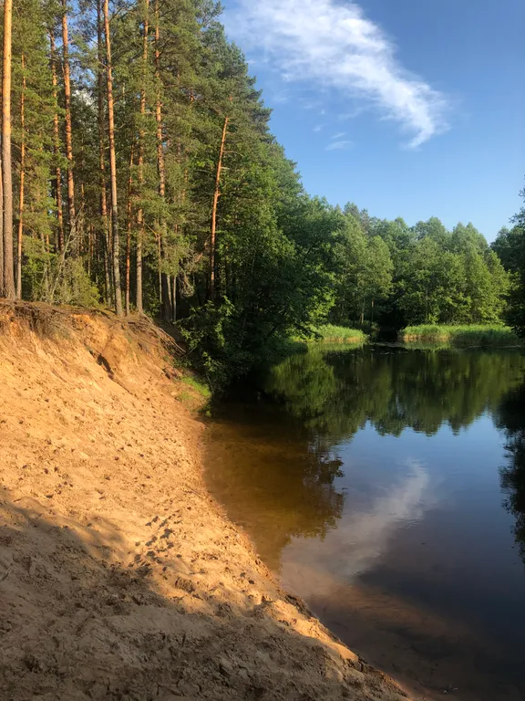 Маленький дом увитый виноградом