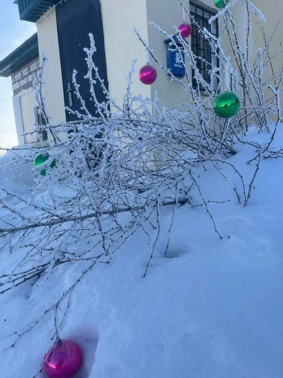 Гостевой дом Пальна в тихом и уютном месте