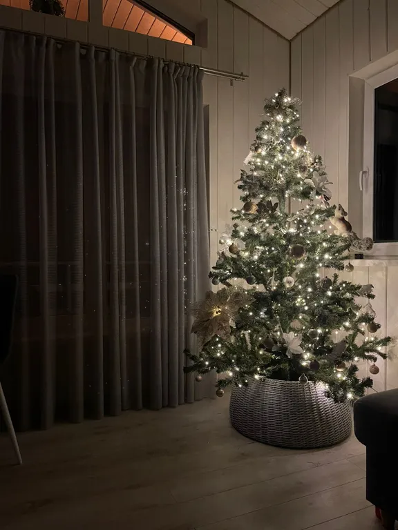 Коттедж Дом Barn house в хвойном лесу — Половина