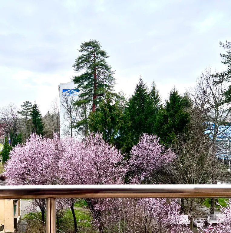 Квартира Квартира в санаторном парке — Горячий Ключ