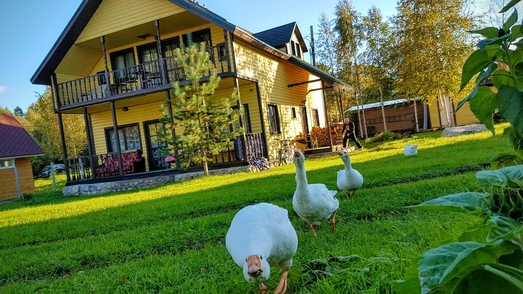 Коттедж на берегу — аренда посуточно в Петрозаводск