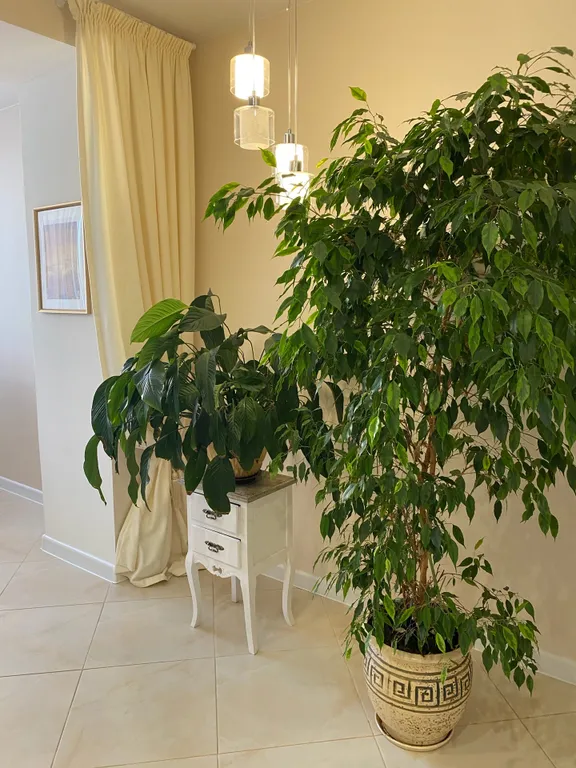 Квартира в сердце города