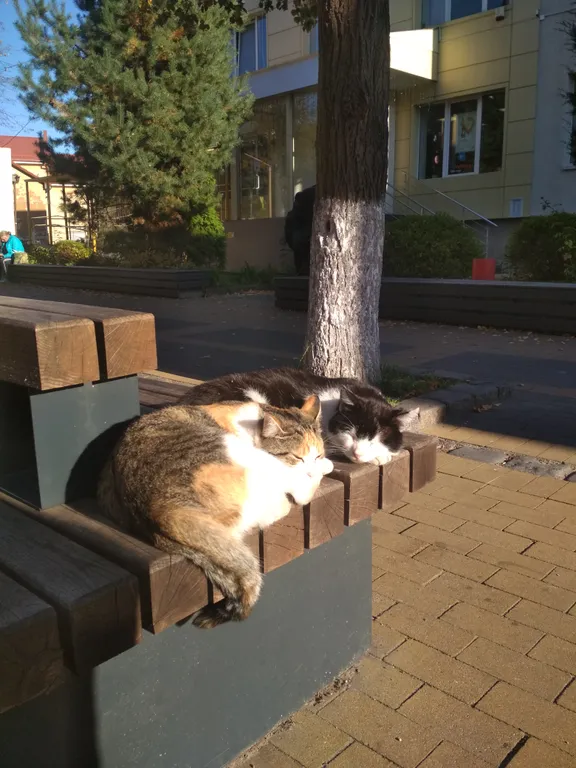 Уютная студия ждет гостей