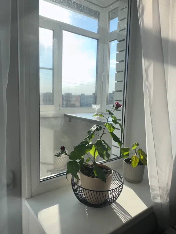 Уютнейшая и самая чистая квартира с современным новым ремонтом