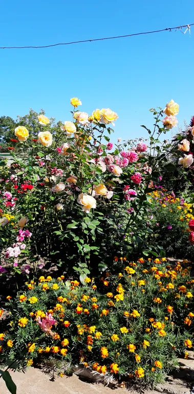 Квартира в частном доме, во второй парковой зоне, со всеми удобствами