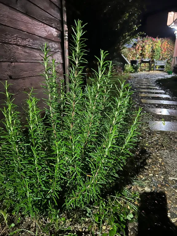 Домик с сауной для семейного отдыха в Новороссийске