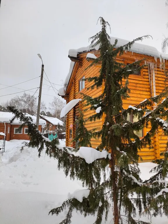 Коттедж 3-комнатный Дом — аренда посуточно в Зеленодольск