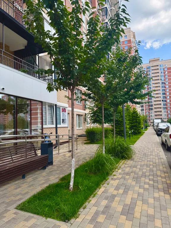 Квартира Светлая, уютная двухкомнатная квартира с видом на парк Галицкого — Краснодар