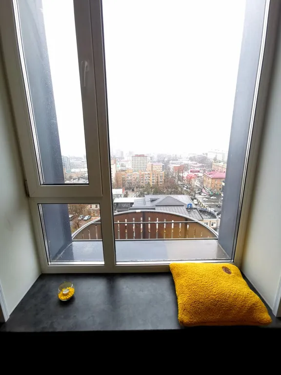 Квартира Шикарная студия в новом доме в центре — аренда посуточно в Владивосток