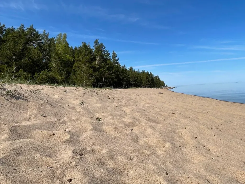 Коттедж Уютный дом с камином и сауной у озера — Ларионово