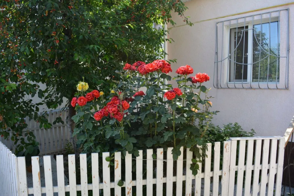 Квартира 2-комнатная Квартира — Евпатория