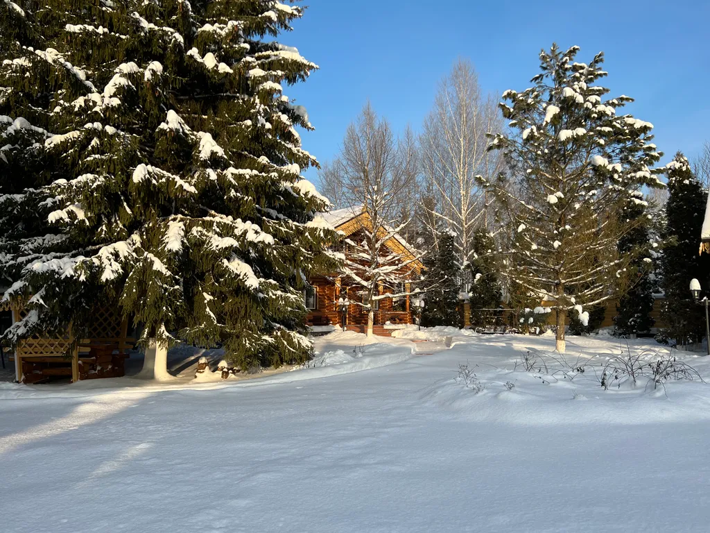 Терем в лесу