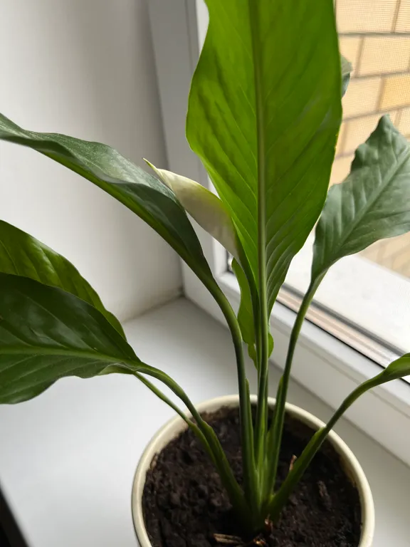 Чистота, уют и гостеприимство