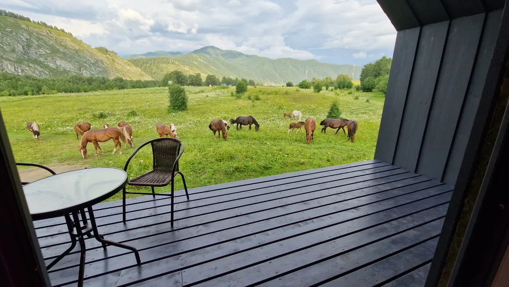 Дачи Бирюзовая подкова