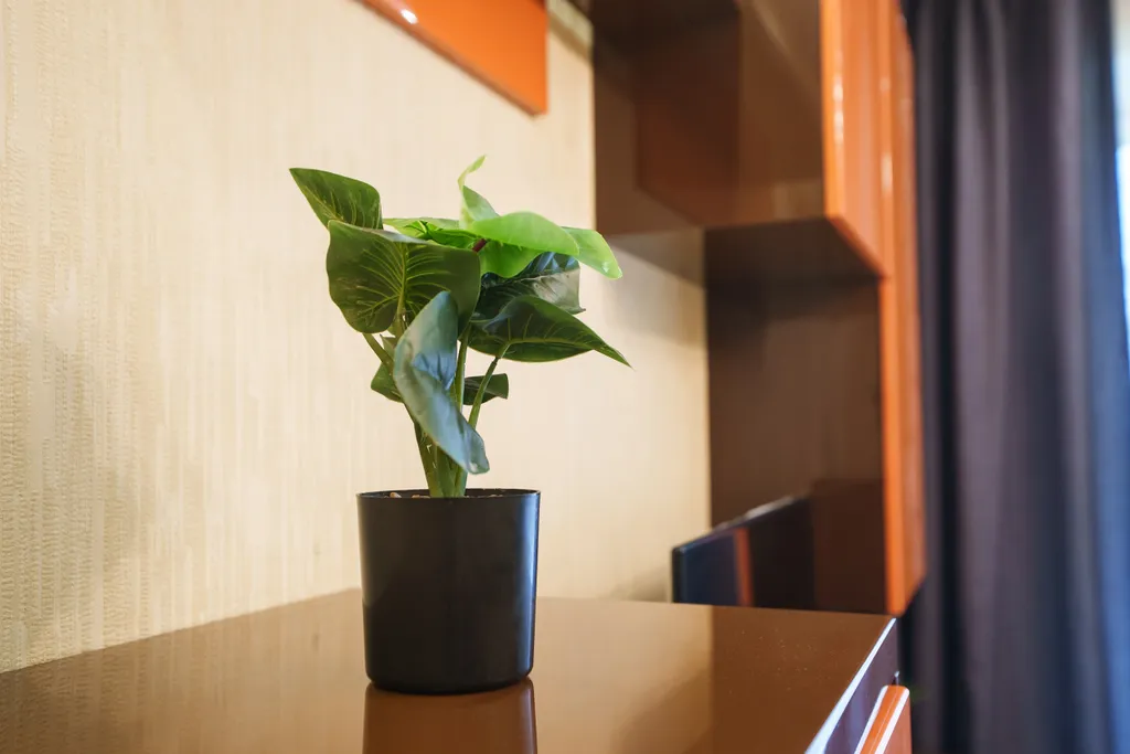 Квартира с домашним уютом на ул. Староникитская, 105Б