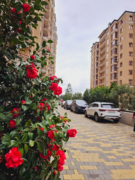 Квартира Апартаменты SochiHome с балконом — Сочи