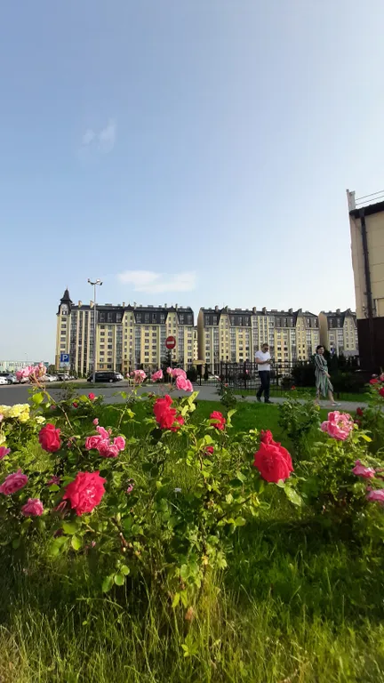 Кранц-престиж