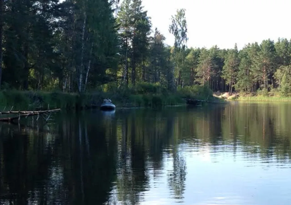 Коттедж Коттедж Селигерское — Березово