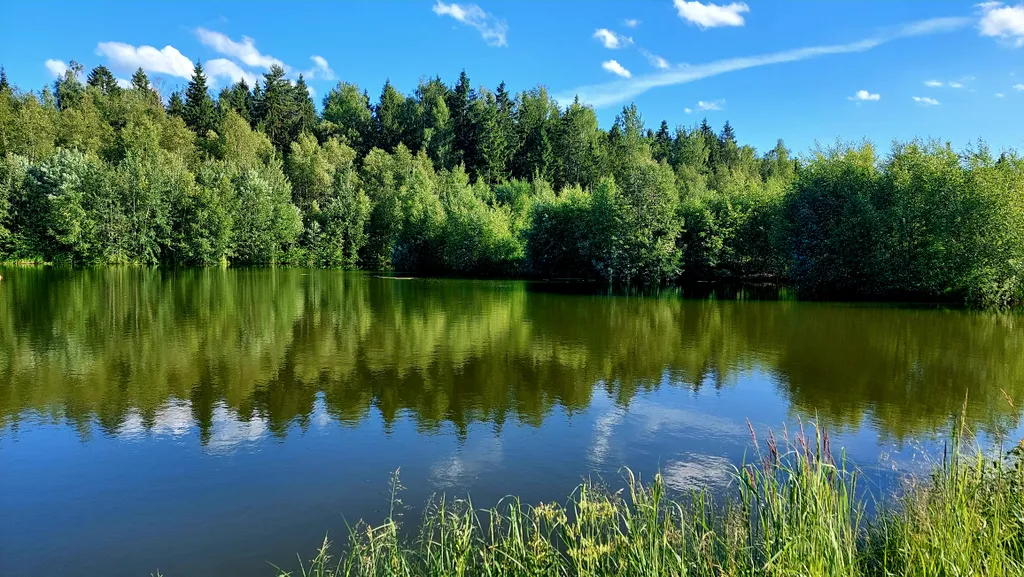 Дом на берегу озера у леса