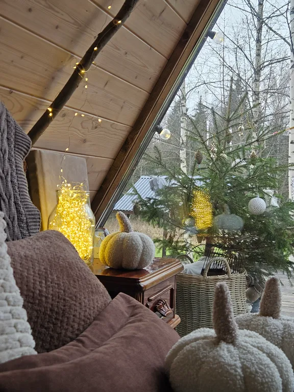 Коттедж Лесной дом — аренда посуточно в Клин