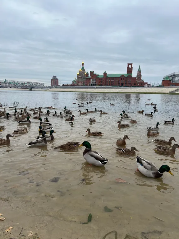 Уютная квартира рядом с набережной