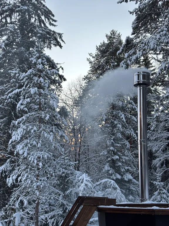 А-фрейм в лесу с банным чаном