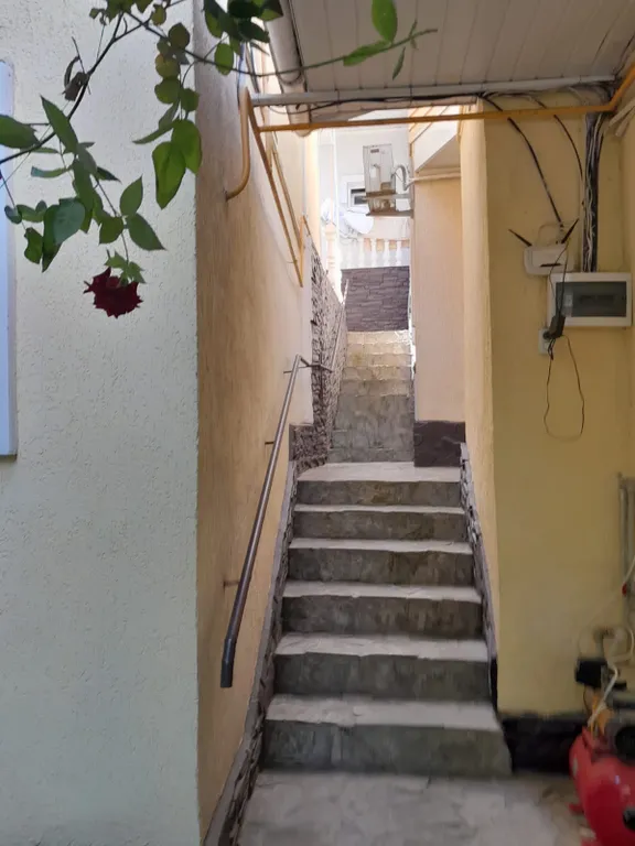 Номер с видом на хурму