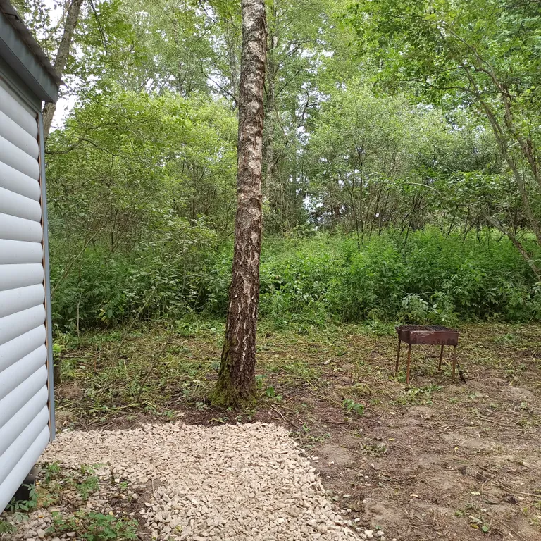 Коттедж Дом у леса — Можайск