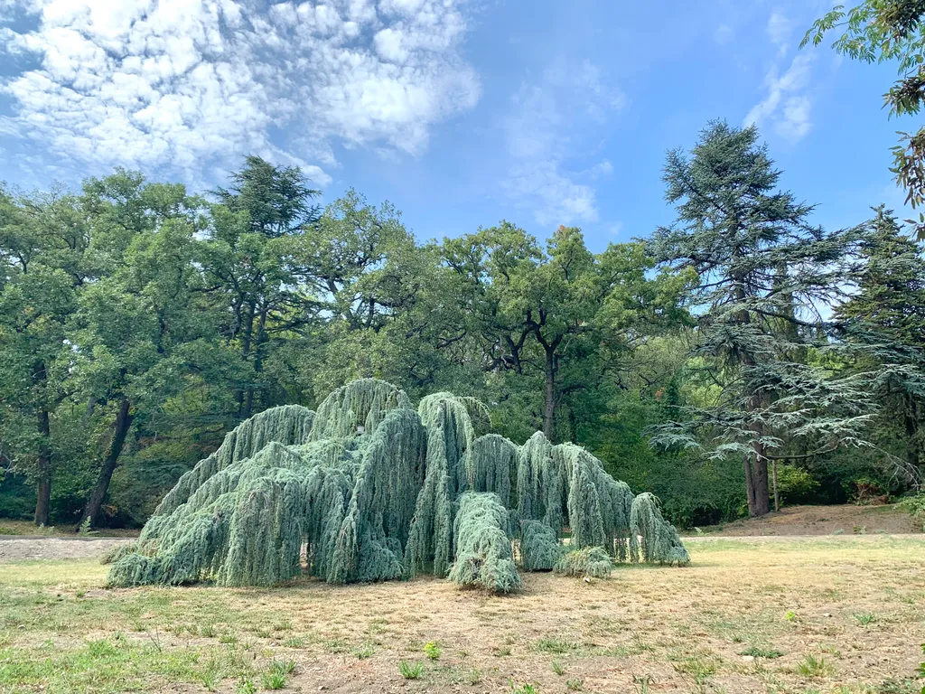 Отличный видовой пентхаус