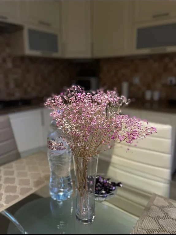 Квартира 1-комнатная Квартира — Калининград