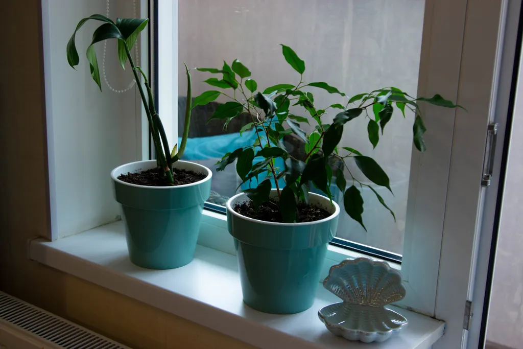 Уютная студия у метро Девяткино