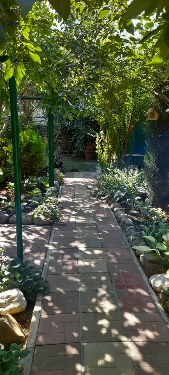 Коттедж Дом из бруса в саду — Анапа