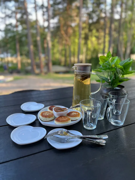 Стильный дом на берегу Ладожского озера с панорамным видом