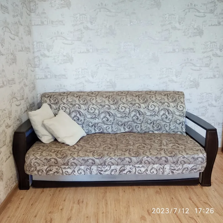 Просторная квартира у филармонии