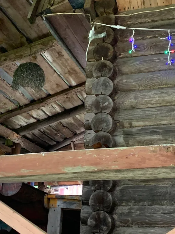 Большой дом с бассейном и диско, в ретро стиле около аэропорта Минск