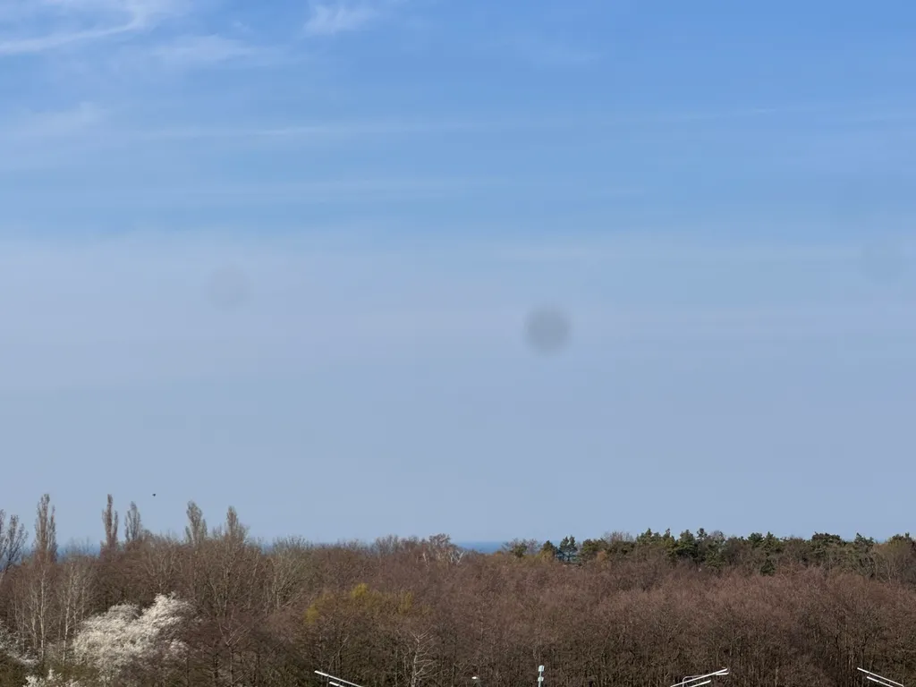 Квартира Уютная однокомнатная квартира в живописном Светлогорске — Светлогорск