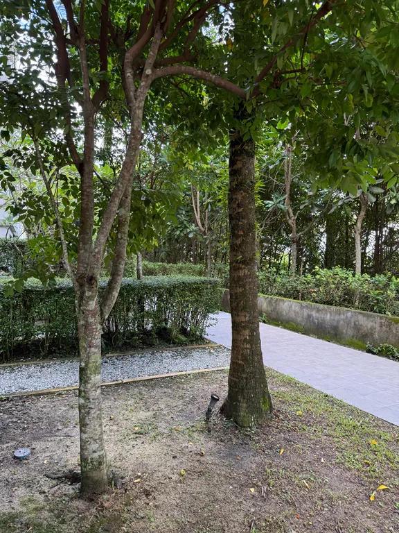 1-спальный апартамент у пляжа Най Янг