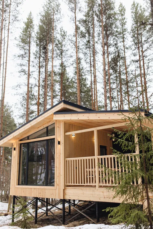 Домик в лесу с панорамными окнами